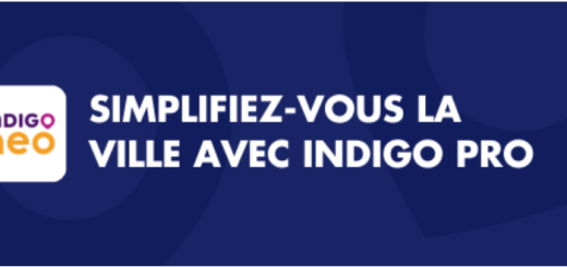 stationnement professionnel nice
